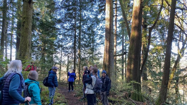 When two groups meet