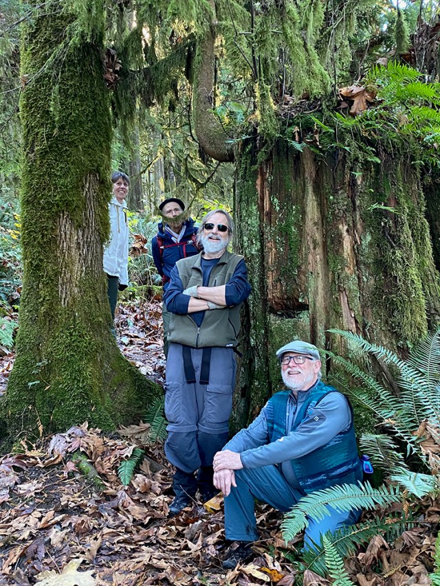 Natural picture frame