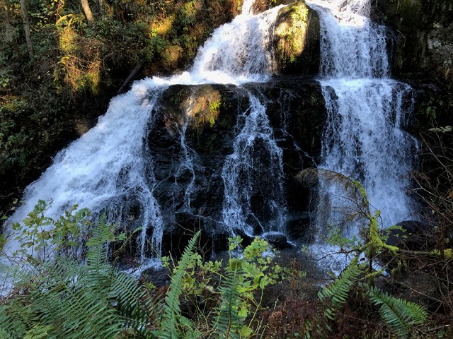 Steelhead Falls