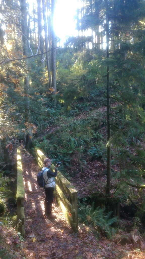 Photographer at work