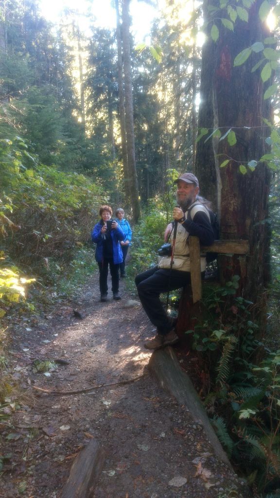 Jon ascends the throne